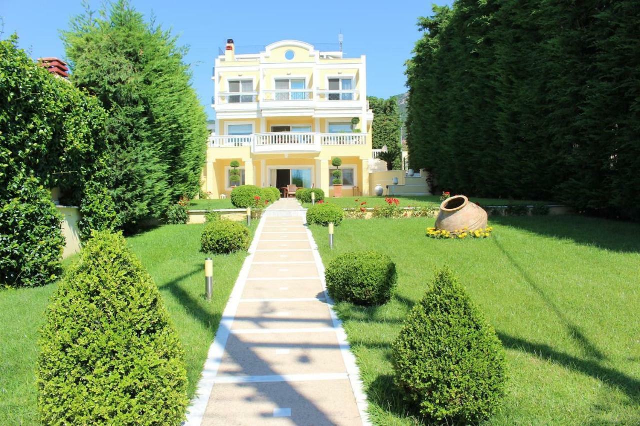 Willa Shemesh Gardens House PalaiónTsiflíkion Zewnętrze zdjęcie